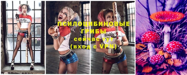 марки nbome Горняк